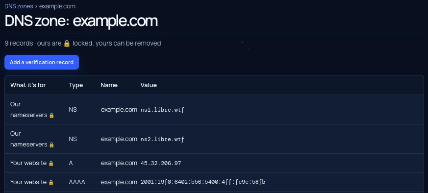 A domain’s DNS zone in the Panel, listing its records with a lock on the ones we manage