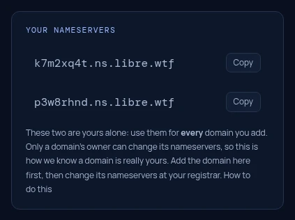 Your nameservers box, with a Copy button for each